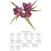 Thinlits Crocus