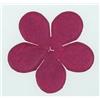 Fiori di carta a 5 petali Fucsia