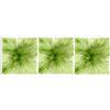 Fommy Deco' Soft Monet Verde Salvia Large