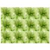 Fommy Deco' Soft Monet Verde Salvia Small