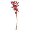 Pistilli Gemme Red