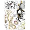 Timbri acrilici Science