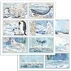 Carta Scrap Cards Arctic