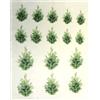 Velluto Deco' Stampato Leaves