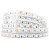 BTF-LIGHTING 5050 RGBW RGB+Bianco freddo(6000K-7000K) 5m 60LEDs/m Luci a nastro multicolore a LED IP67 impermeabile 12mm FPCB DC12V per la camera da letto cucina decorazione domestica