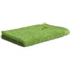 Möve Asciugamano per ospiti Superwuschel 30 x 50 cm in 100% cotone, peridoto