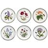 Portmeirion Botanic Garden - Set di 6 Piatti con Motivi Diversi, Diametro 20 cm, Colore: Bianco