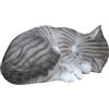 Vivid Arts Arti Vivid RealLife Gatto Dorme tigrato Dimensioni B