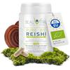 BEAUVITAL Bio Reishi Ganoderma lucidum con estratto di Reishi biologico al 10% | Nuova formula | 120 capsule per 500 mg | Ganoderma lucidum Reishi puro | funghi medicinali agricoltura biologica dell'UE