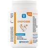 LABORATORI NUTERGIA Ergycebe Nutergia Laboratoires 90 Capsule
