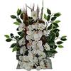 DRW Centro Fiori Cementero Santos Orchidee Bianche 57 x 62 cm, Giallo, Medidas: 64x55 cm