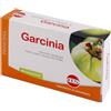 KOS SRL Kos Garcinia Estratto Secco 60 Compresse