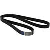 GATES 7PK1870 Cinghia servizi nero