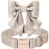 Unique style paws, Collare per cani in seta, durevole e regolabile, con fiocco, per matrimonio, per cani, taglia XS, colore champagne