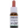 Dermapro Pets cannabis sativa olio + CBD 10%