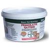 Bayer Pet Primolatte Gattino Latte In Polvere Cuccioli 200 G