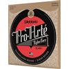 D'Addario Corde Classiche in Nylon Pro-Arte, Tensione Normale | Le corde classiche in nylon Pro-Arte offrono timbro caldo, intonazione precisa, sensazione uniforme e prestazioni durature.