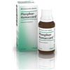 Guna Phosphor-Homaccord Medicinale Omeopatico in Gocce Orali, 30ml