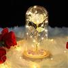 ADAZ Festa Della Mamma Rosa Stabilizzata Vera, Regalo per Lei Donna Mamma Fidanzata Rosa Eterna in cupola di vetro con luce a LED per San Valentino, Natale, giorno del ringraziamento