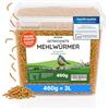 MeerBach & Rose Vermi di farina essiccati, secchio da 2,5 litri (400 g) di mangime, snack ricco di proteine per uccelli selvatici, pesci, rettili, tartarughe e ricci