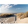 murimage Carta Parati Mare 366cm x 254cm Include Colla Fotomurali 3D Spiaggia Dune Oceano vacanza percorso in legno wallpaper