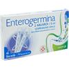 Farma 1000 Srl Enterogermina 2 Miliardi/5 Ml Sospensione Orale 10 Flaconcini 5 Ml