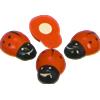 Coccinelle adesive