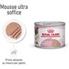 Royal Canin Babycat Instinctive Mousse 195 gr Cibo Umido Per Gatti