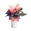 Generic Fiori di porcellana fredda miniatura TILLANDSIA Home Decor regalo- fatto a mano