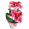 Generic fiori di porcellana fredda centro miniatura GERANIO cinese Home Decor regalo- fatto a mano