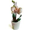 Generic fiori di porcellana fredda centro miniatura ORCHIDEA Home Decor regalo- fatto a mano