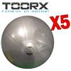 TOORX Kit Risparmio Toorx con 5 Palle da Ginnastica Professionali Antiscoppio Grigio, Diametro 65 cm - Carico Max 500 kg