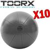 TOORX Kit Maxi Risparmio Toorx con 10 Gym Ball Pro Antiscoppio da 75 cm, colore antracite - Carico Max 500 kg