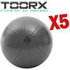 TOORX Kit Super Risparmio Toorx con 5 Gym Ball Pro Antiscoppio da 75 cm, colore antracite - Carico Max 500 kg