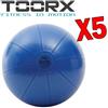 TOORX Kit Super Risparmio Toorx con 5 Palle da Ginnastica Professionali Antiscoppio Blu, Diametro 55 cm - Carico Max 500 kg