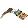 ARQUIVET Corno di Cervo - Corno da Masticare Per Cani Ecologico Naturale - Corno Da Masticare Naturale Raccolto Autunnale - M - 40-75 G