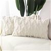 Madizz 2 Pezzi Federe in Lana Corta Velluto Copricuscini Morbido Decorativo Fodere per Cuscino Lusso Stile per Divano Camera da Letto Beige Rettangolare 40x60 cm