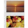 Favorit 100460148 - Busta Porta Foto 4 Tasche, 20 x 13 cm, Trasparente