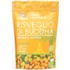 Iswari RISVEGLIO BUDDHA BIO MANGO&BAOBAB 360 G