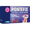 FIMO PONTEFIX SET FISSAG PONTI