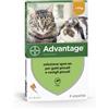ADVANTAGE spot-on soluz 4 pipette 0,4 ml 40 mg gatti e conigli piccoli