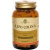 SOLGAR LIPO COLINA 100 CAPSULE VEGETALI