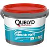 Quelyd Bostik SA QL246111 - Colla speciale per fibra di vetro