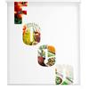Estoralis C-1214 - Tende a Rullo Traslucido Estampa Digital, Easy Fix, 85 x 150 cm