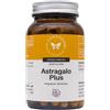 Cento Fiori ASTRAGALO PLUS 100 CAPSULE 320MG VEGETALI