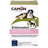Camon ENTEROSALUS 20 BUSTINE 2,5 G