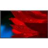 NEC MultiSync P495 49 Display