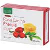 Natura Service ROSA CANINA ENERGIE BIOLOGICO 10 AMPOLLE BEVIBILI DA 10 ML