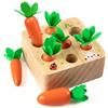 XIAPIA Giochi Bambini 1 2 3 Anni, Giochi Bambini Montessori Educativo Legno, Giochi Bambino Migliori Regali Prescolari per i più Piccoli (Carota)