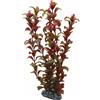 Hobby Rotala Pianta Artificiale per Acquario